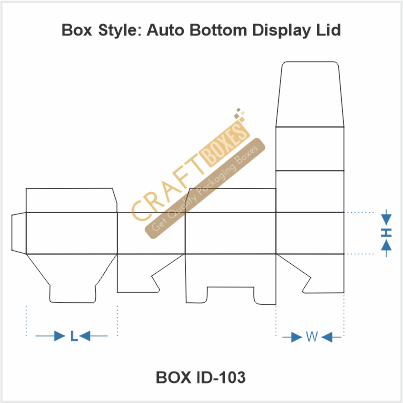 Auto Bottom with Display Lid
