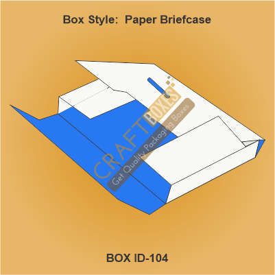Paper Brief case
