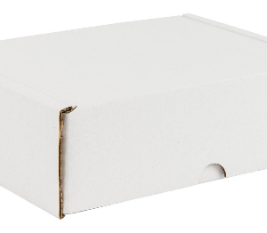 White Postal Packaging Boxes 01